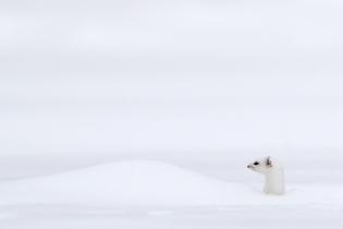 Peryskop nad śniegowym morzem
